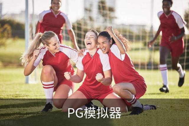 PG模拟器品牌展示图